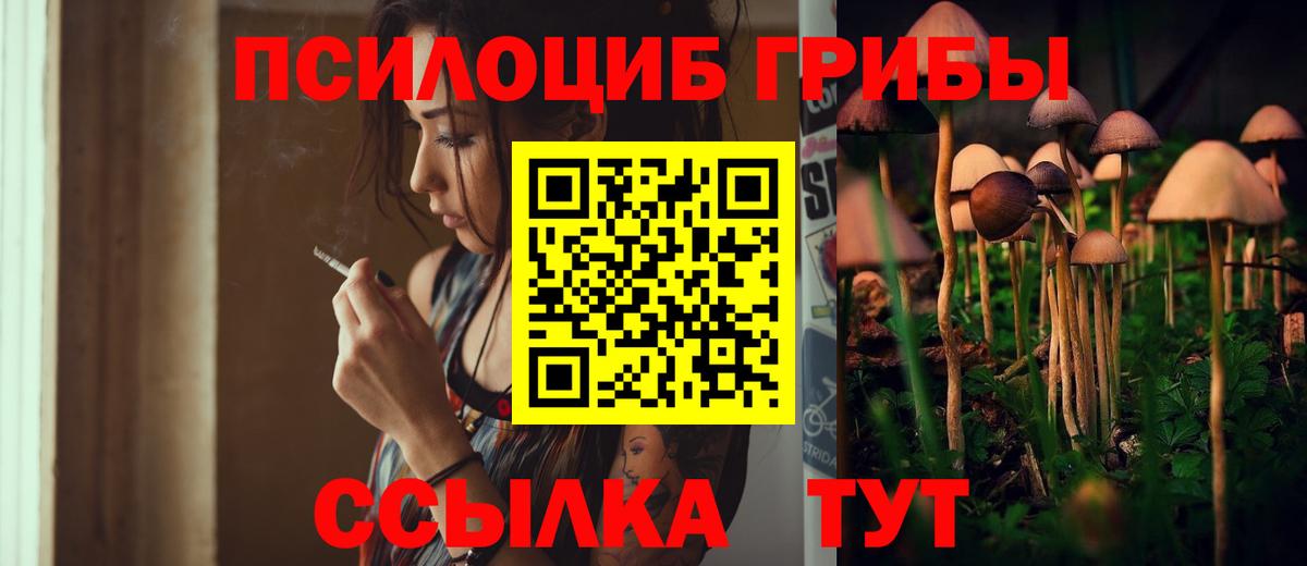 Галлюциногенные грибы Psilocybe Аксай